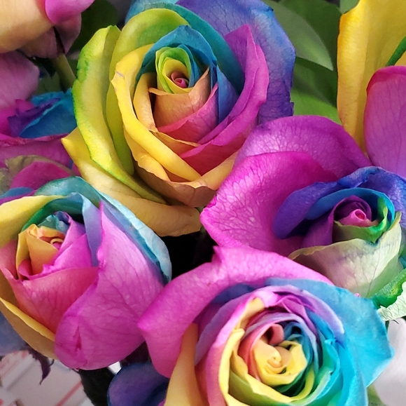 Meet your Posher, Ally - Picture 1 of 1